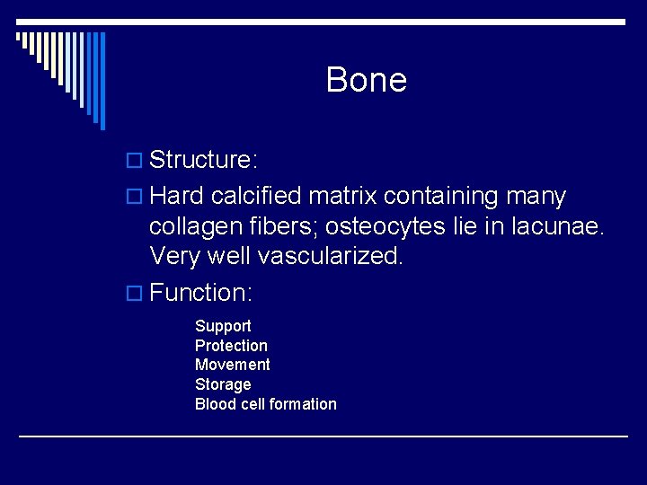 Bone o Structure: o Hard calcified matrix containing many collagen fibers; osteocytes lie in