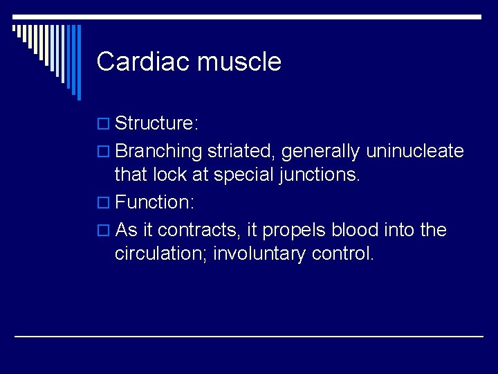 Cardiac muscle o Structure: o Branching striated, generally uninucleate that lock at special junctions.