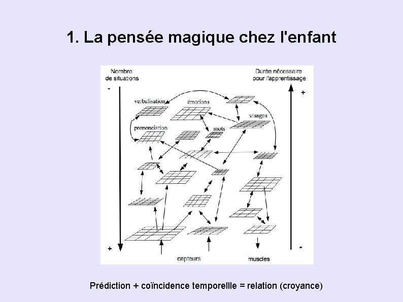 1. La pensée magique chez l'enfant Prédiction + coïncidence temporellle = relation (croyance) 