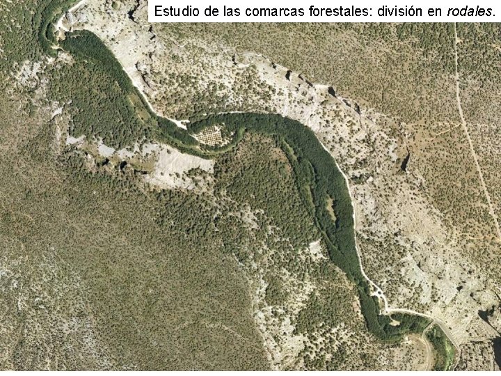Estudio de las comarcas forestales: división en rodales. 