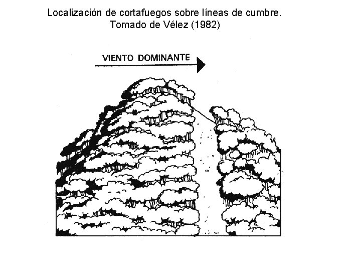 Localización de cortafuegos sobre líneas de cumbre. Tomado de Vélez (1982) 