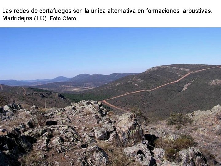 Las redes de cortafuegos son la única alternativa en formaciones arbustivas. Madridejos (TO). Foto