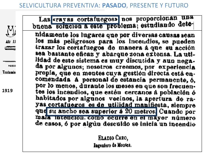 SELVICULTURA PREVENTIVA: PASADO, PRESENTE Y FUTURO 1919 47 