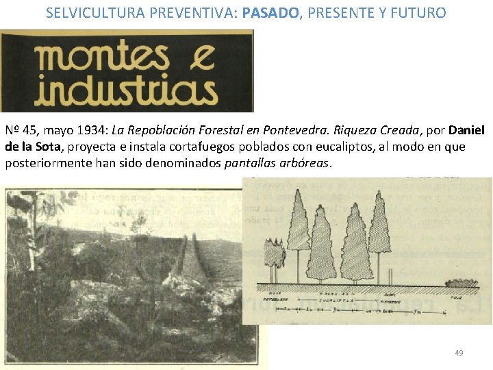 SELVICULTURA PREVENTIVA: PASADO, PRESENTE Y FUTURO Nº 45, mayo 1934: La Repoblación Forestal en