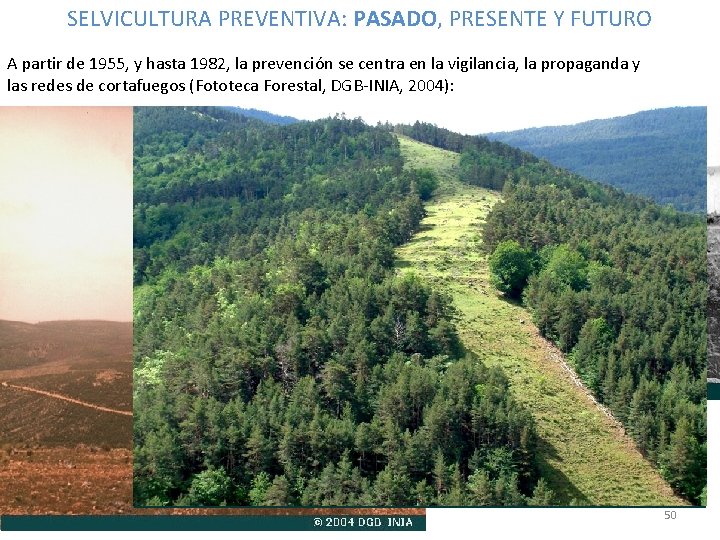 SELVICULTURA PREVENTIVA: PASADO, PRESENTE Y FUTURO A partir de 1955, y hasta 1982, la