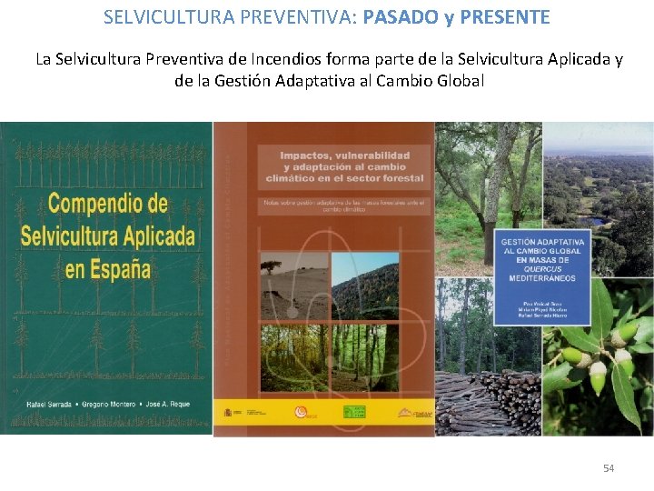 SELVICULTURA PREVENTIVA: PASADO y PRESENTE La Selvicultura Preventiva de Incendios forma parte de la