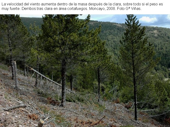 La velocidad del viento aumenta dentro de la masa después de la clara, sobre