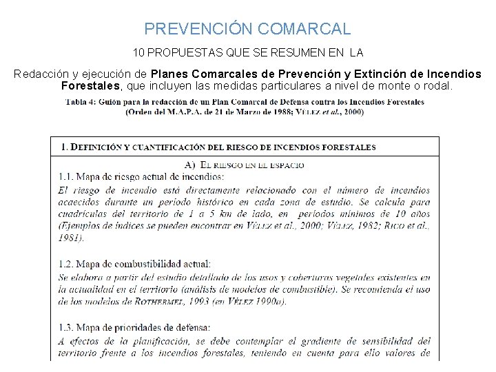 PREVENCIÓN COMARCAL 10 PROPUESTAS QUE SE RESUMEN EN LA Redacción y ejecución de Planes