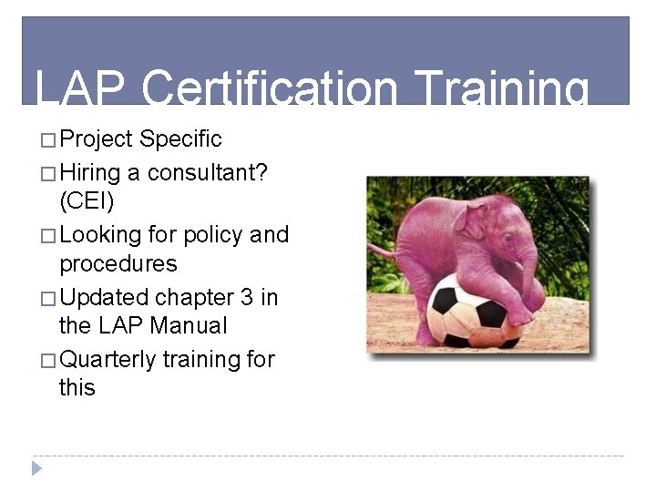 LAP Certification Training � Project Specific � Hiring a consultant? (CEI) � Looking for