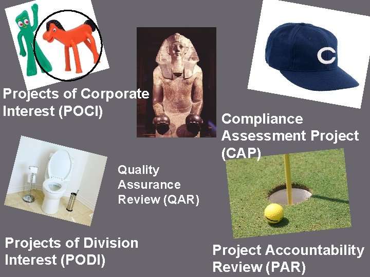 Projects of Corporate Interest (POCI) Compliance Assessment Project (CAP) Quality Assurance Review (QAR) Projects