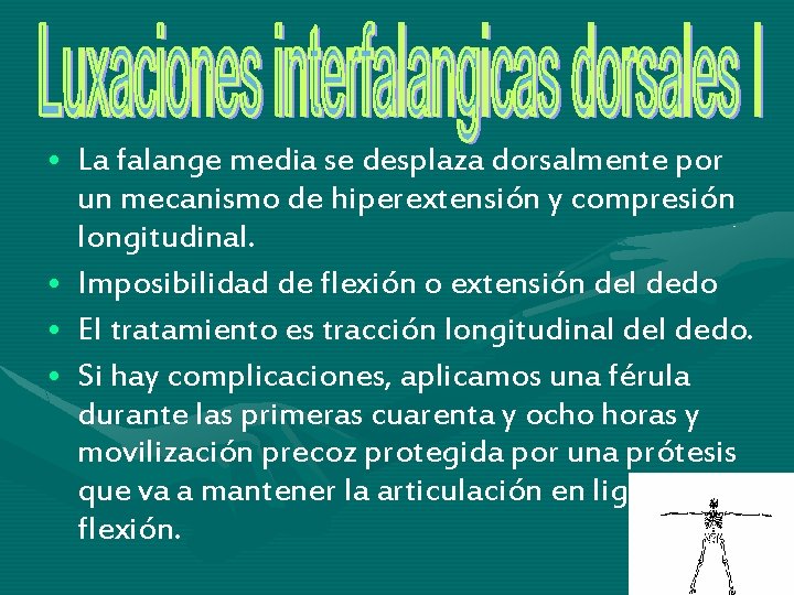 • La falange media se desplaza dorsalmente por un mecanismo de hiperextensión y • La falange media se desplaza dorsalmente por un mecanismo de hiperextensión y