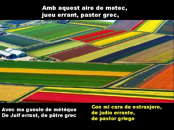 Amb aquest aire de metec, jueu errant, pastor grec, Avec ma gueule de métèque