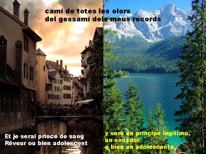 camí de totes les olors del gessamí dels meus records Et je serai prince