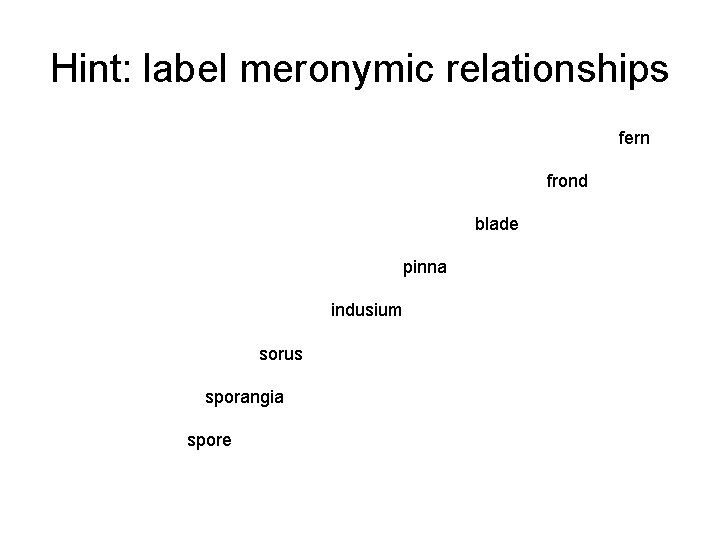 Hint: label meronymic relationships fern frond blade pinna indusium sorus sporangia spore 