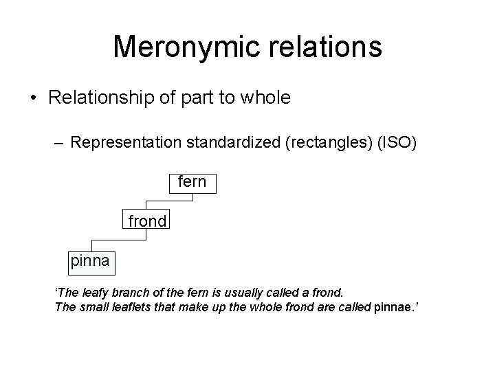 Meronymic relations • Relationship of part to whole – Representation standardized (rectangles) (ISO) fern