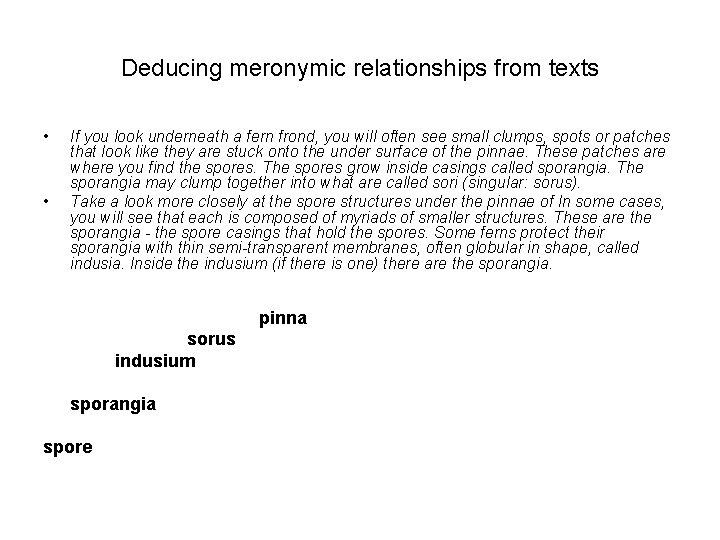 Deducing meronymic relationships from texts • • If you look underneath a fern frond,