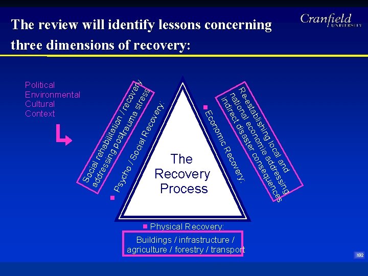 The review will identify lessons concerning Three dimensional recovery three dimensions of recovery: processes