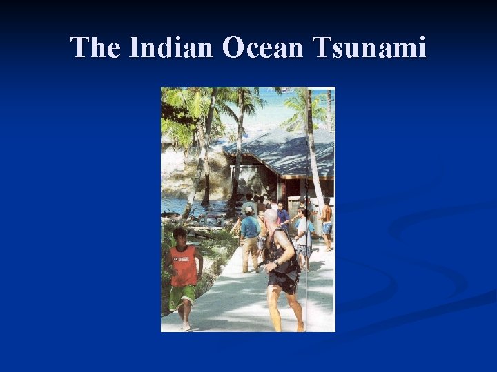 The Indian Ocean Tsunami 