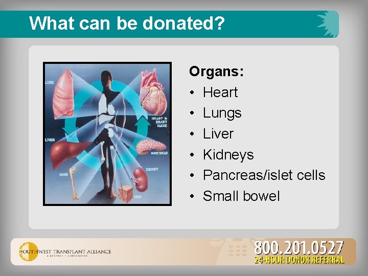 What can be donated? Organs: • Heart • Lungs • Liver • Kidneys •