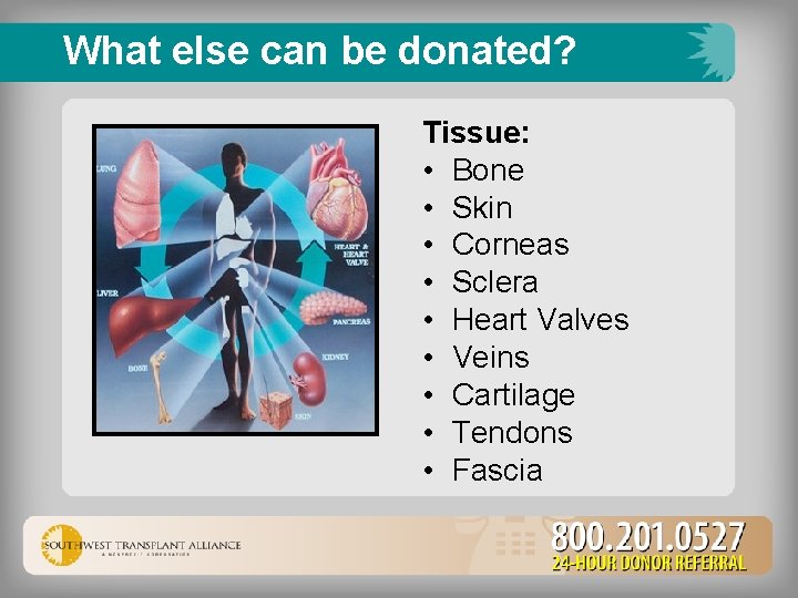 What else can be donated? Tissue: • Bone • Skin • Corneas • Sclera