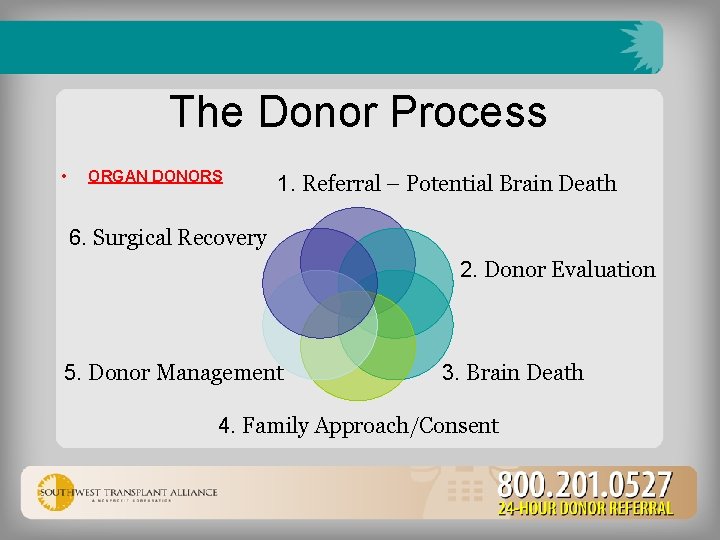 The Donor Process • ORGAN DONORS 1. Referral – Potential Brain Death 6. Surgical