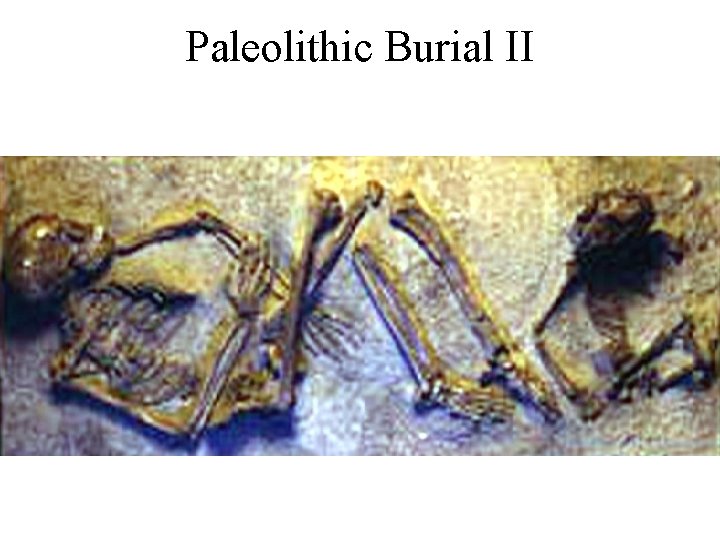 Paleolithic Burial II 