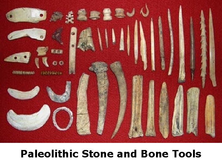 Paleolithic Stone and Bone Tools 