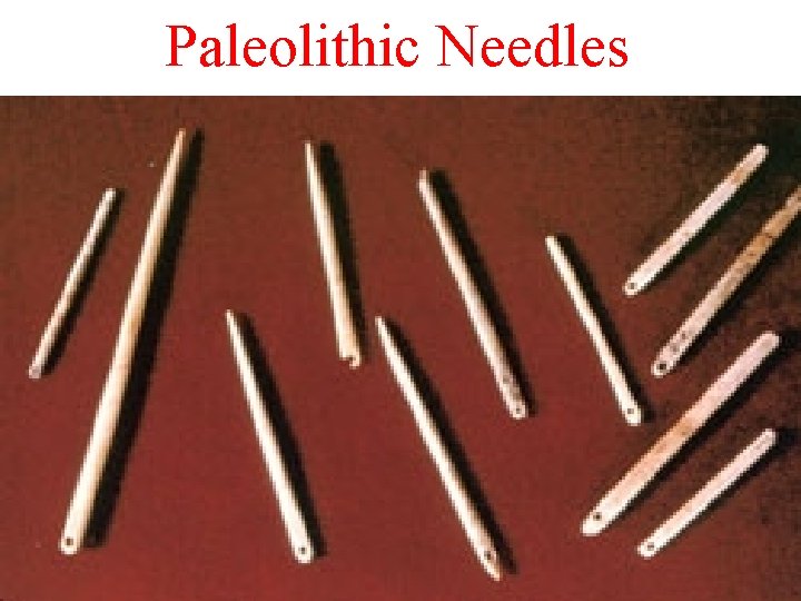 Paleolithic Needles 