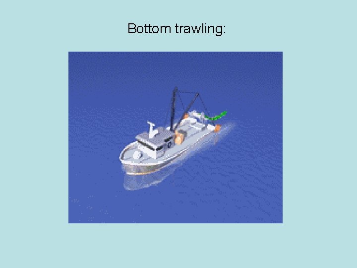 Bottom trawling: 