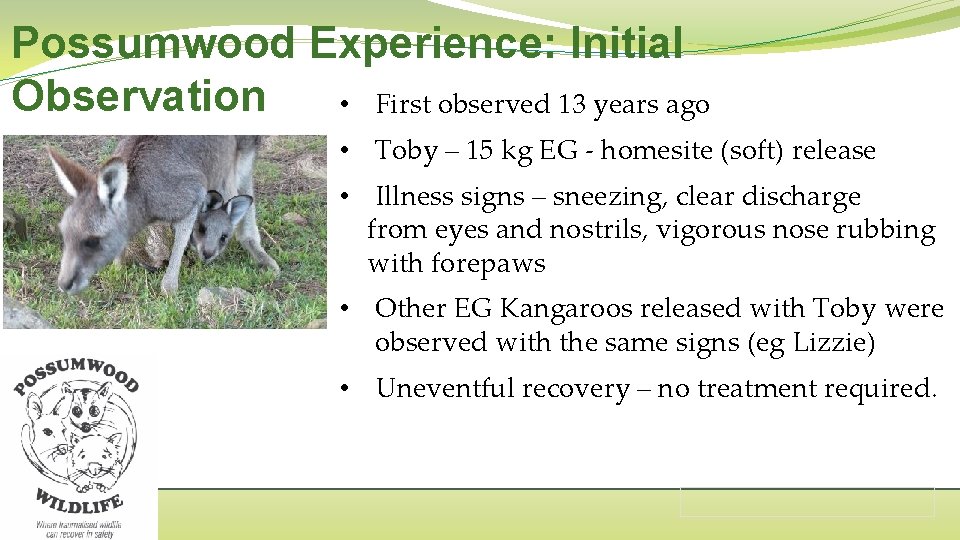 Possumwood Experience: Initial Observation • First observed 13 years ago • Toby – 15