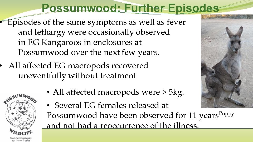 Possumwood: Further Episodes • Episodes of the same symptoms as well as fever and