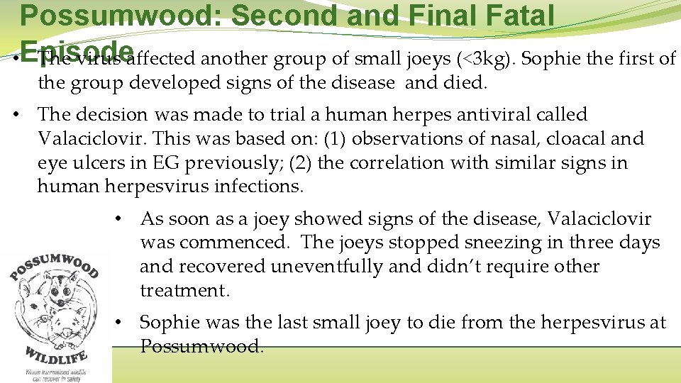 Possumwood: Second and Final Fatal • Episode The virus affected another group of small