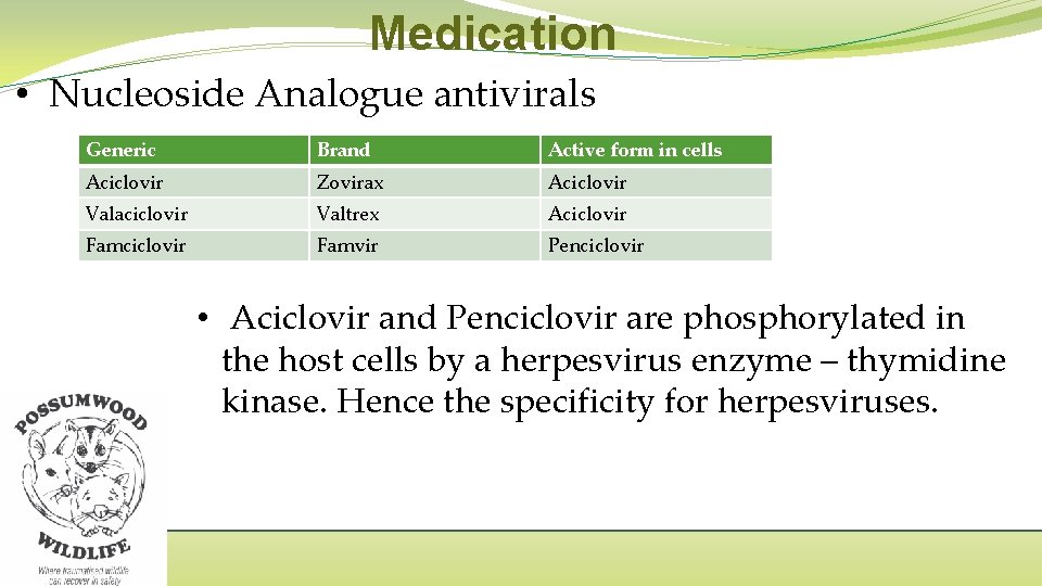 Medication • Nucleoside Analogue antivirals Generic Brand Active form in cells Aciclovir Zovirax Aciclovir