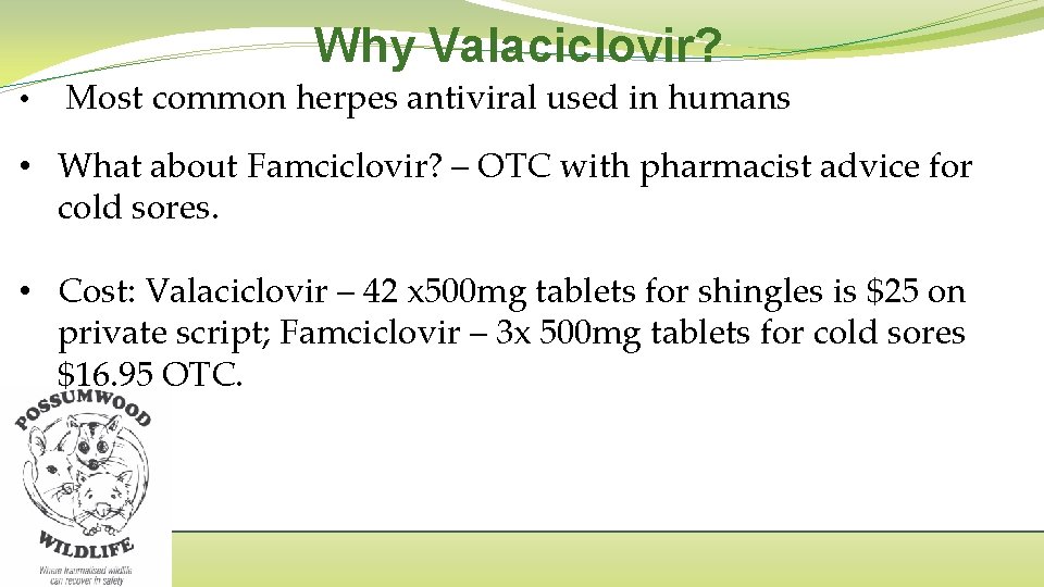 Why Valaciclovir? • Most common herpes antiviral used in humans • What about Famciclovir?