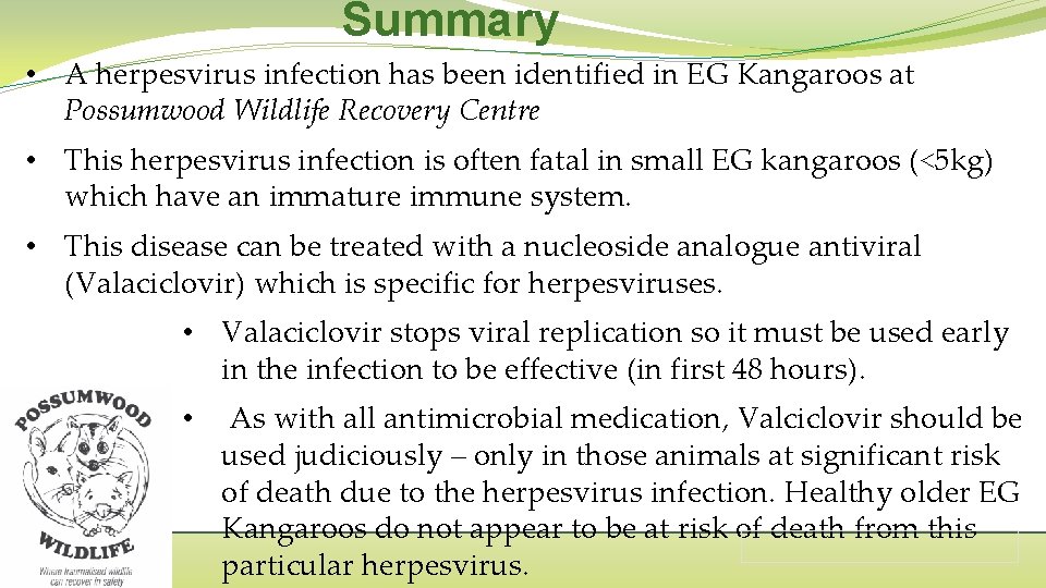 Summary • A herpesvirus infection has been identified in EG Kangaroos at Possumwood Wildlife