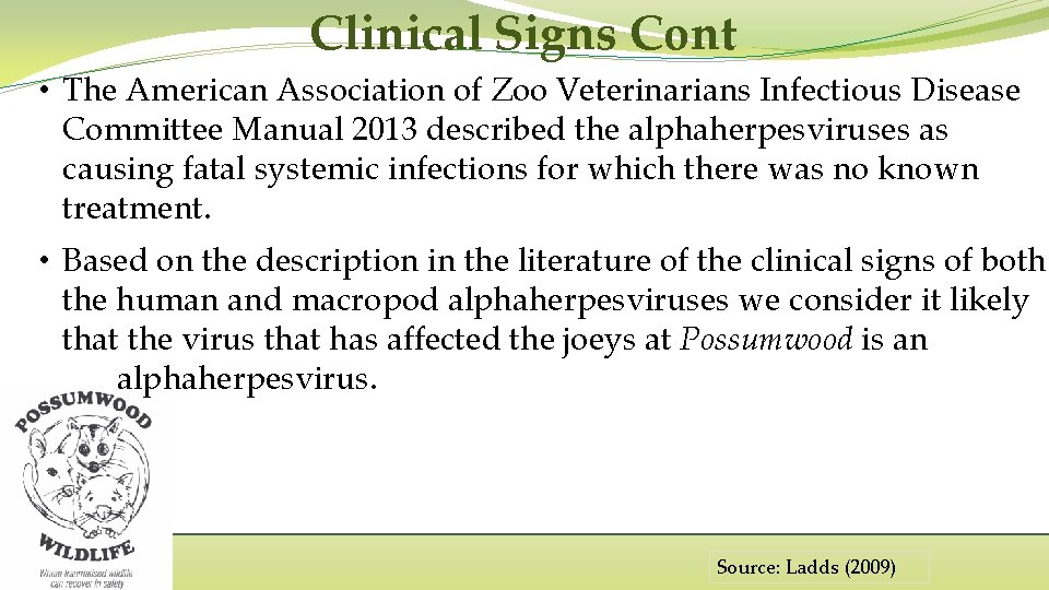 Clinical Signs Cont • The American Association of Zoo Veterinarians Infectious Disease Committee Manual