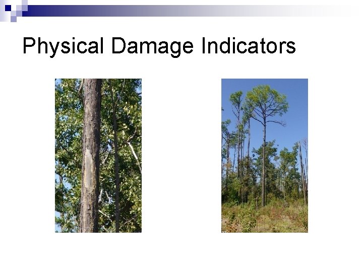 Physical Damage Indicators 