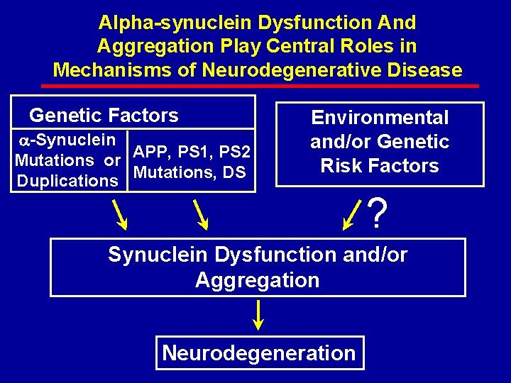 Alpha-synuclein Dysfunction And Aggregation Play Central Roles in Mechanisms of Neurodegenerative Disease Genetic Factors