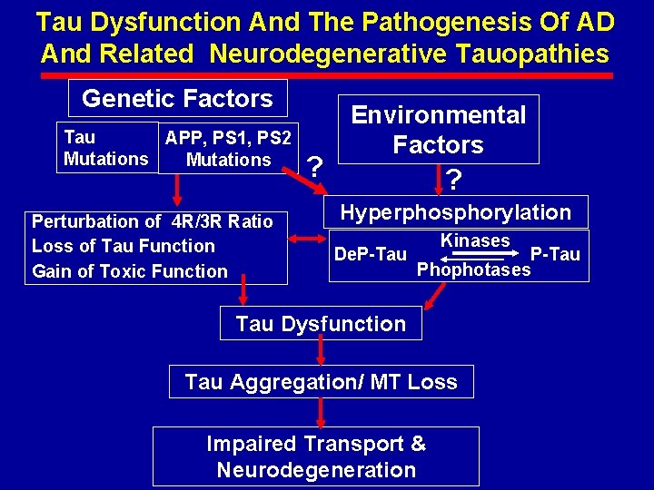 Tau Dysfunction And The Pathogenesis Of AD And Related Neurodegenerative Tauopathies Genetic Factors Tau