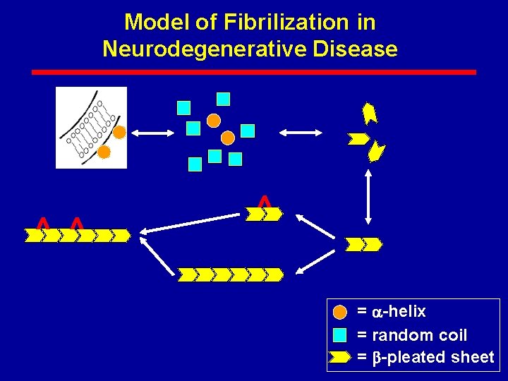Model of Fibrilization in Neurodegenerative Disease ^ ^ ^ = -helix = random coil