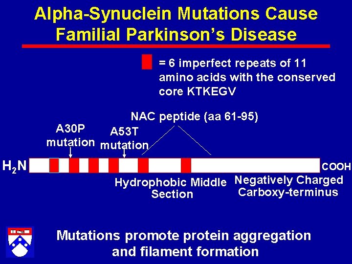 Alpha-Synuclein Mutations Cause Familial Parkinson’s Disease = 6 imperfect repeats of 11 amino acids