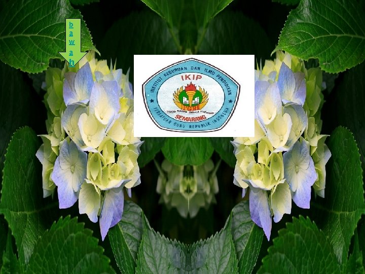 PROTOTHERIA, METATHERIA, EUTHERIA b a w a Prototheria, Metatheria, Eutheria h KELOMPOK 6 VIVIAN