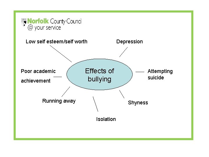 Low self esteem/self worth Poor academic achievement Depression Effects of bullying Running away Attempting