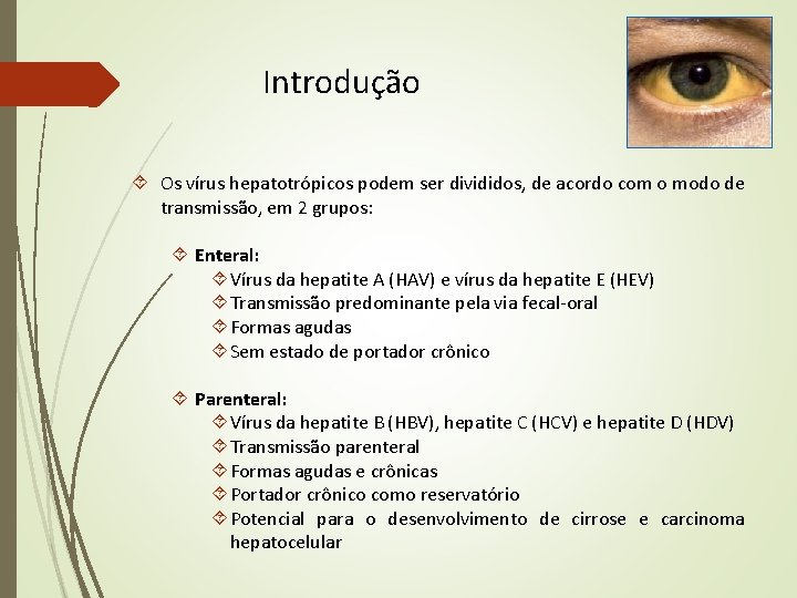 Introdução Os vírus hepatotrópicos podem ser divididos, de acordo com o modo de transmissão, Introdução Os vírus hepatotrópicos podem ser divididos, de acordo com o modo de transmissão,