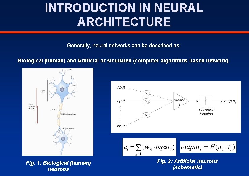 INTRODUCTION IN NEURAL ARCHITECTURE Generally, neural networks can be described as: Biological (human) and