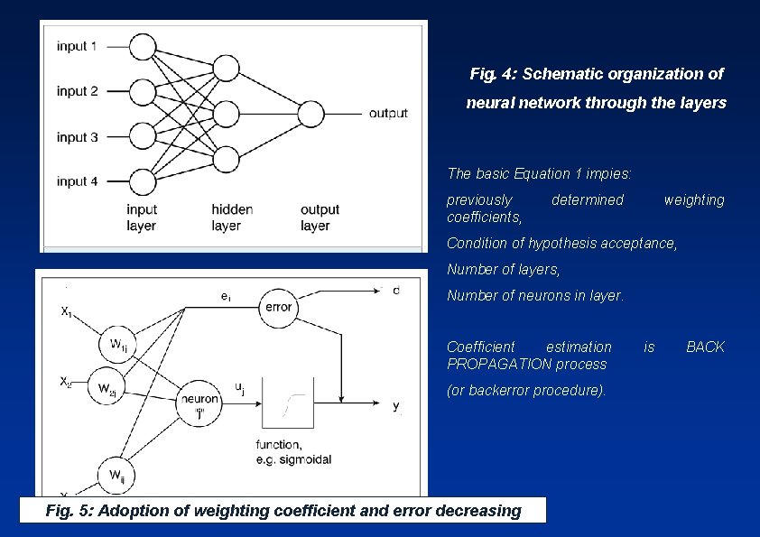 Fig. 4: Schematic organization of neural network through the layers The basic Equation 1