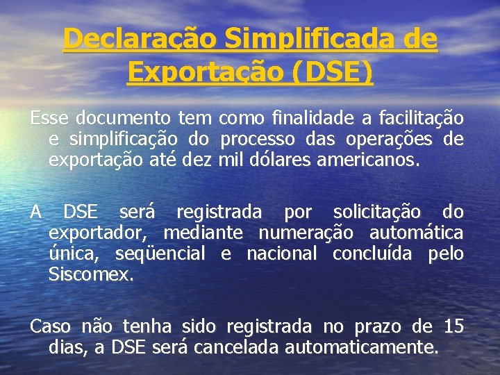 Declaração Simplificada de Exportação (DSE) Esse documento tem como finalidade a facilitação e simplificação