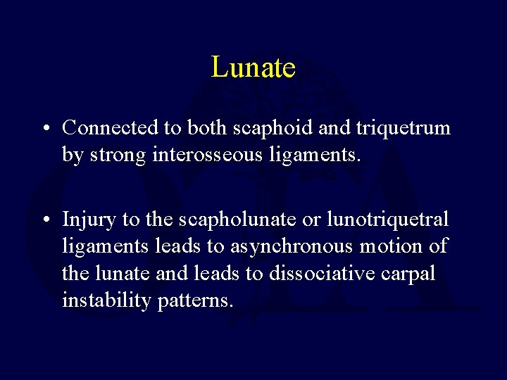 Lunate • Connected to both scaphoid and triquetrum by strong interosseous ligaments. • Injury