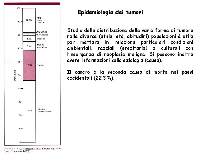 Epidemiologia dei tumori Studio della distribuzione delle varie forme di tumore nelle diverse (etnie,