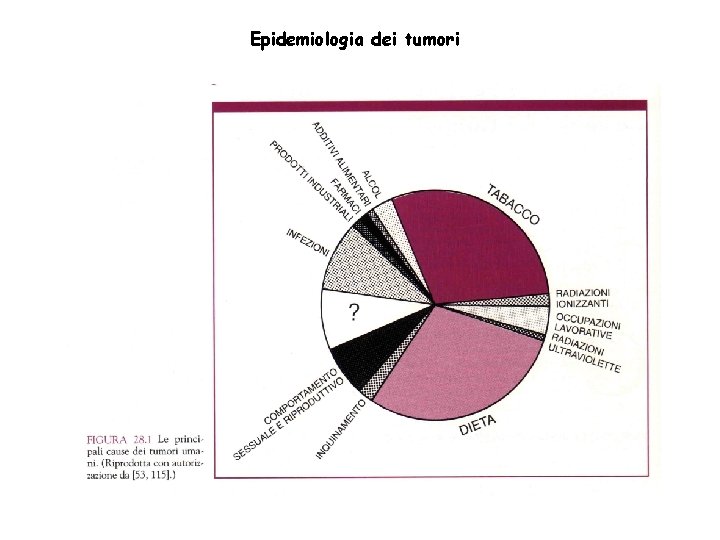 Epidemiologia dei tumori 